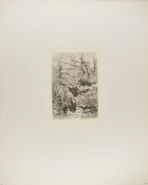 Forest Scene with Wild Boars