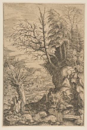 Landscape with a Willow