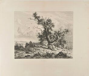 Runensteine auf der Insel Rügen