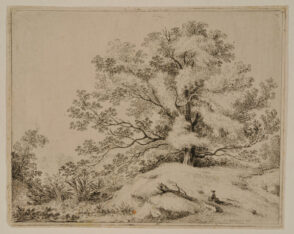 Landscape with Spreading Oak