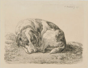 Sleeping Hunting Dog, Turned to Left
