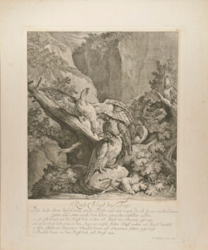 Raub Vögel bey Tage