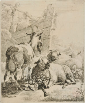 From the series “Sheep and Goats” (vertical plates)