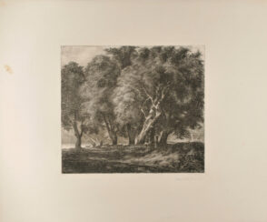 A Flock of Sheep Under the Great Trees