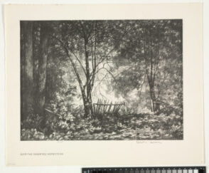 The Deserted Homestead