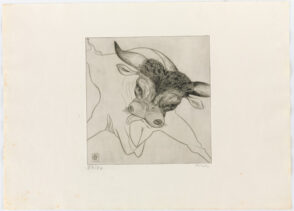 From the portfolio “Black Bull”