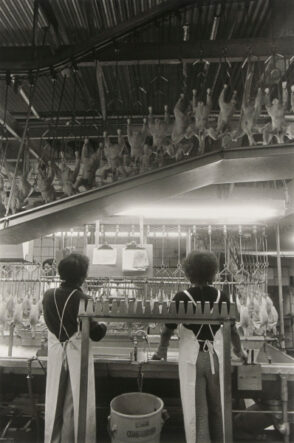 Perdue Chicken Processing Plant, Salisbury.