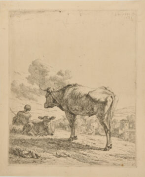 A Standing Bull and a Resting Calf