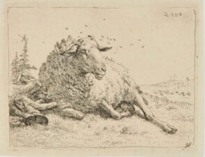 The Sheep Resting Near a Tree Trunk