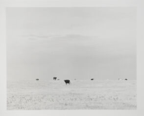 North of Briggsdale, Colorado