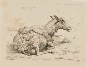 The Sheep and the Flies