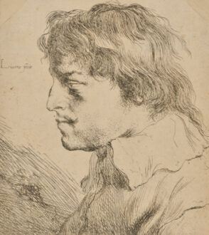 Head of a Young Man, Profile to Left