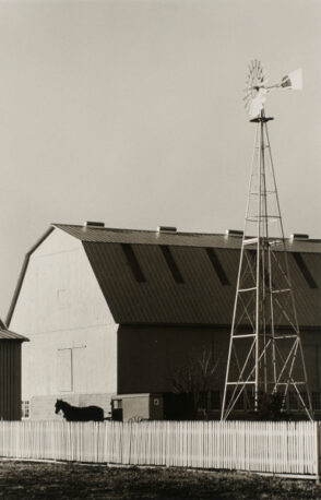 Amish Farmer, St. Mary’s County.