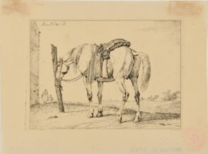 Horse with Saddle Hitched to Post