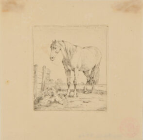 Horse Standing by Wooded Fence