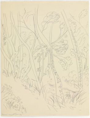 Path Through Trees (study for Mallarmé?)