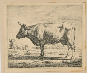 The Two Cows and the Sheep