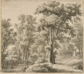 Entrance to the Forest by a Wooden Fence