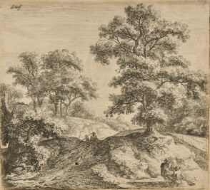 Large Oak Along a Path