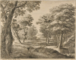 A Path Through the Woods