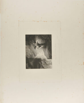 Lucy in Search of Her Children