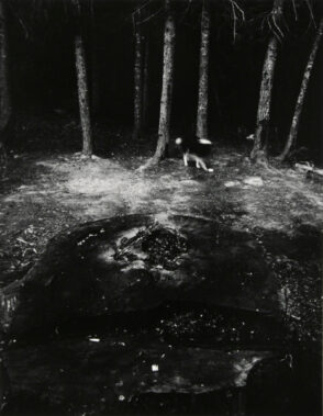 Time Leaves Nothing Hanging