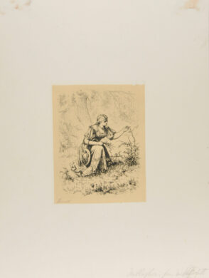 Marguerite Picking Flowers