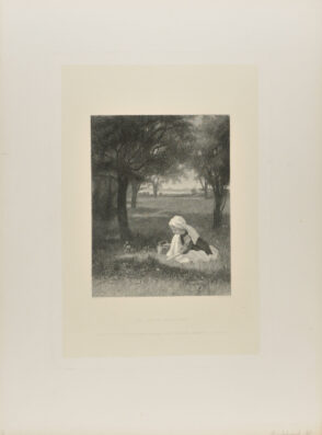 The Little Wildflower