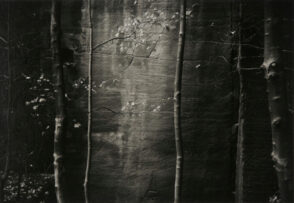 Ceremonial Veil Nesscliffe, Shropshire, England