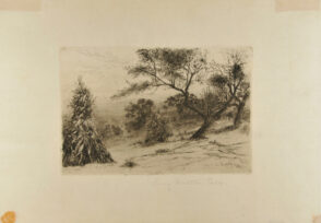 Corn Stacks in a Field