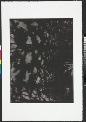 From the portfolio “The Corcoran 2005 Print Portfolio: Drawn to Representation”