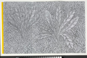 Templates for Limitless Fields of Grass