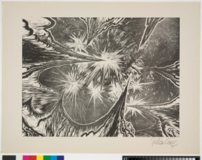 From the portfolio “World”