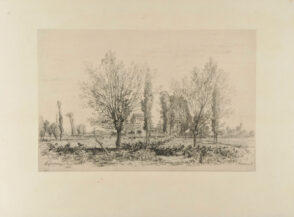 Dans les champs de Cénon