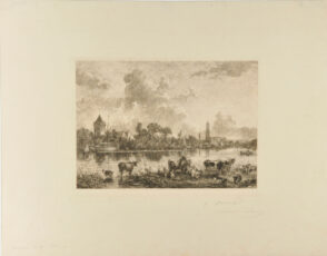 Animaux au pâturage