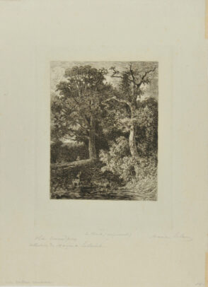 En forêt (crépuscule)