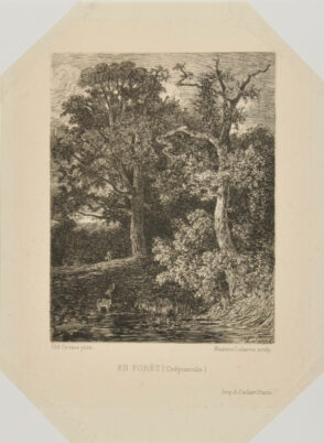 En forêt (crépuscule)