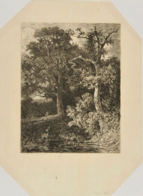 En forêt (crépuscule)