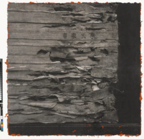 Southern China Normal University, Li’s Collection