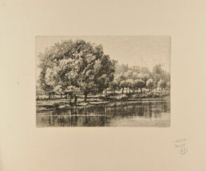 Île à la Moutarde à Montgeron (Rivière d’Yères)