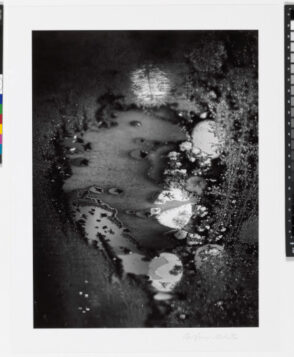 Beginnings, Rochester, New York