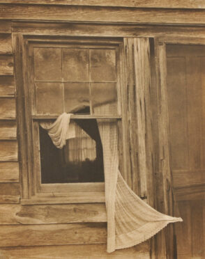 Open Window – Honey House