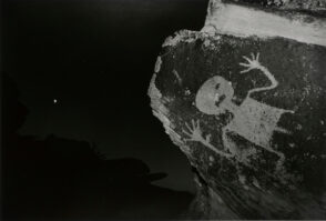 Petrified Forest, Arizona