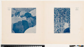 “Ver Sacrum” (Issue 3, 1901)