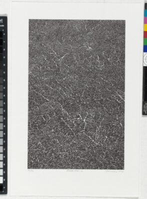 From the portfolio “BOOK ONE”