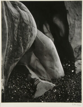 Eroded Rock, Point Lobos