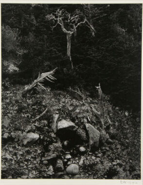 North Dome, Point Lobos