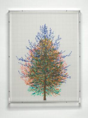 Numbers and Trees, Tiergarten Series 3: Tree #6, September