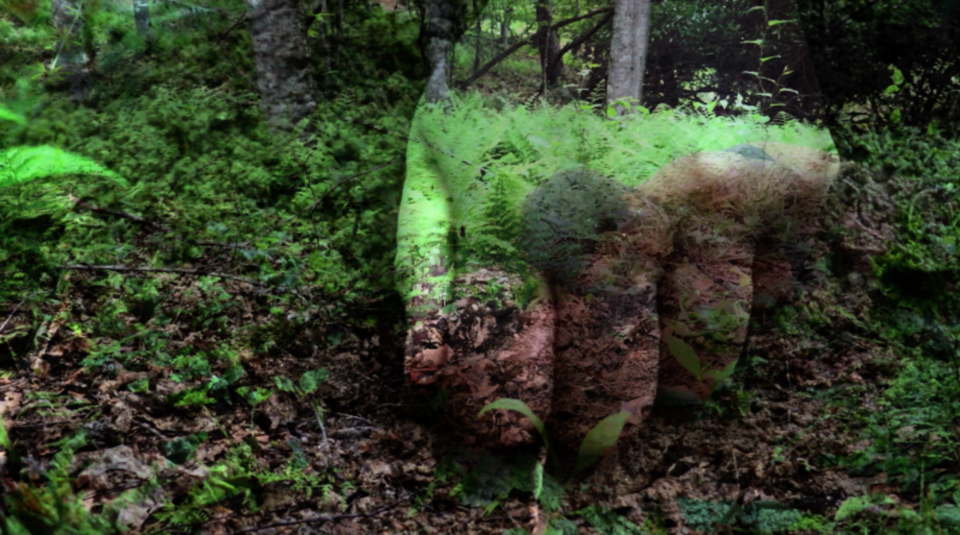 Still from One Body a video performance by V Walton. The still features a hand formed by organic elements over a image of a forest floor.