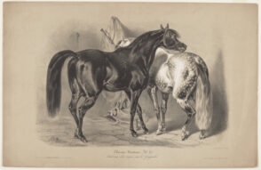 Chevaux Orientaux No. 20